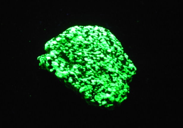 Fluorescent NJ 16 Gemmy Apple Green Willemite And Franklinite From The