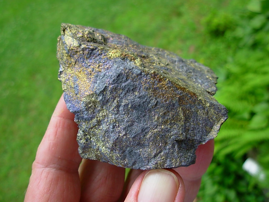 Bornite from Mexico