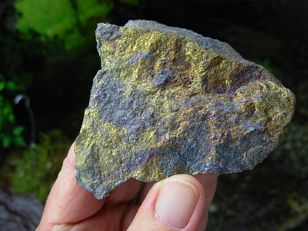 Bornite from Mexico