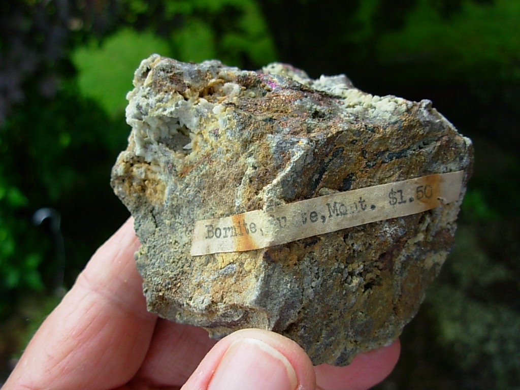 Classic Bornite from Butte, Montana