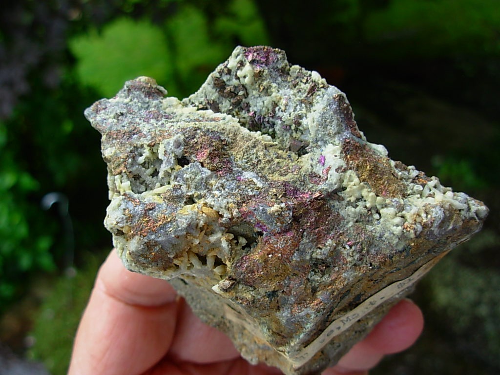 Classic Bornite from Butte, Montana