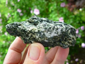 Actinolite in Talc