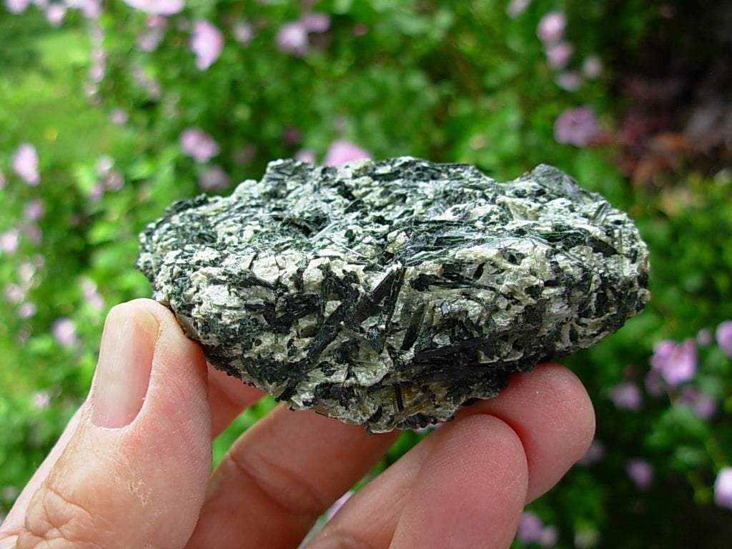 Actinolite in Talc