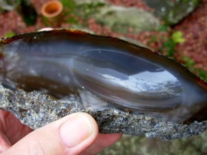 Agate Polished Top Jewelry Tray