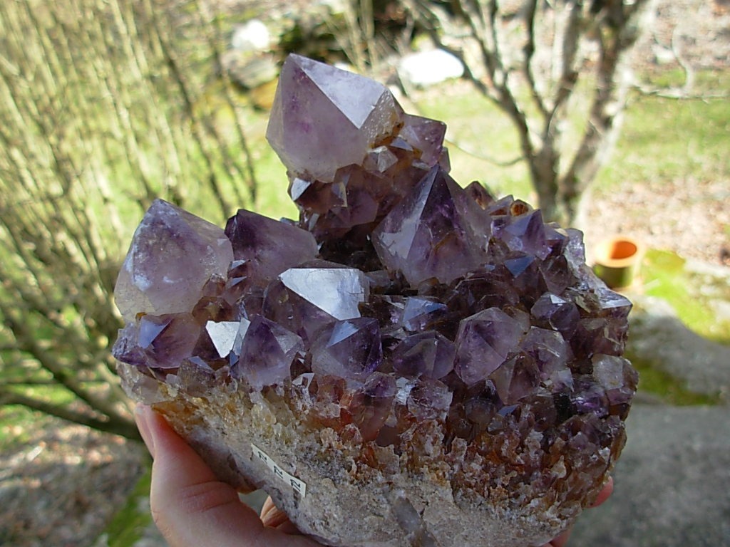 Amethyst, Citrine Spirit (Cactus) Quartz... Magaliesburg Crystals