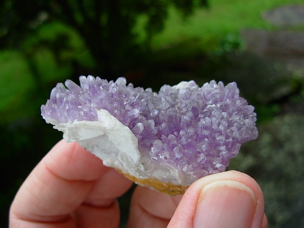 Beautiful Lavender Amethyst with Selenite on Quartz Matrix