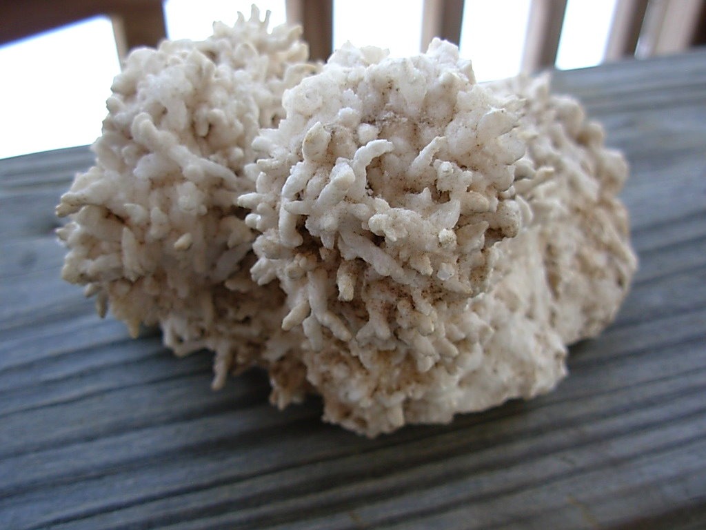 Old Stock Cave Aragonite Stalactite