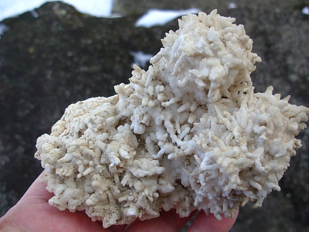 Old Stock Cave Aragonite Stalactite