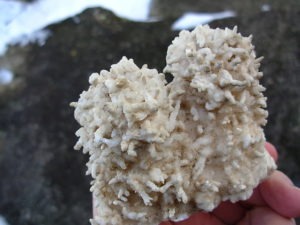 Old Stock Cave Aragonite Stalactite