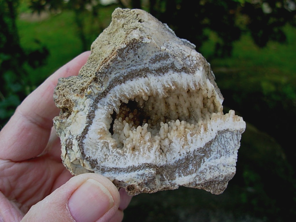Aragonite Vug from Socorro New Mexico