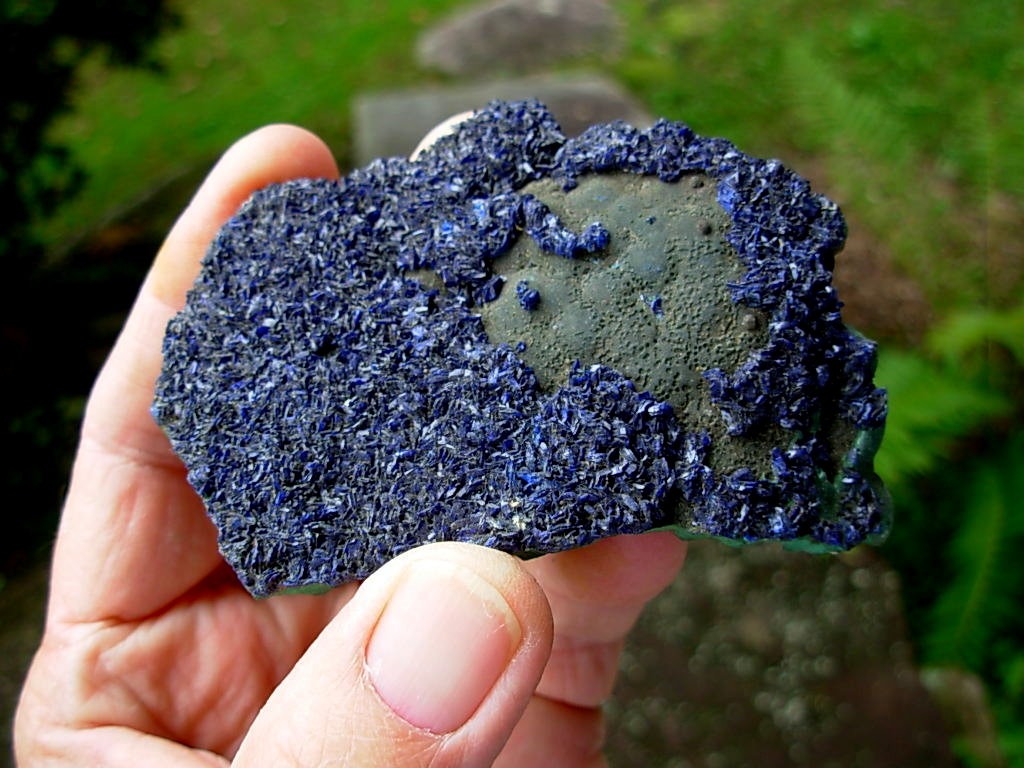Rare Old Stock Azurite Crystals on Malachite Plate from Arizona