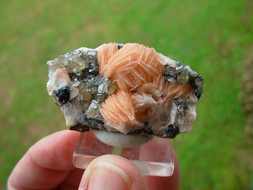 Salmon Pink Barite Blades with Clear Cerrusite from Morocco