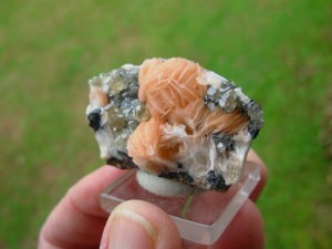 Salmon Pink Barite Blades with Clear Cerrusite from Morocco