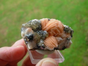 Salmon Pink Barite Blades with Clear Cerrusite from Morocco