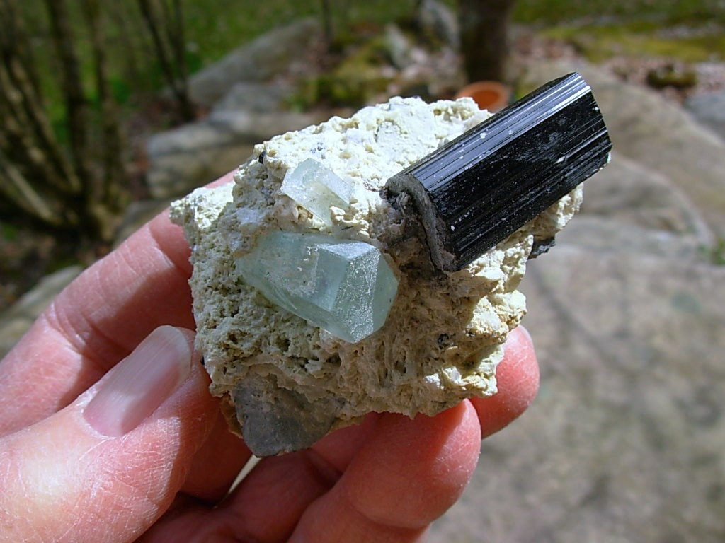 Beryl var Aquamarine and Schorl on matrix