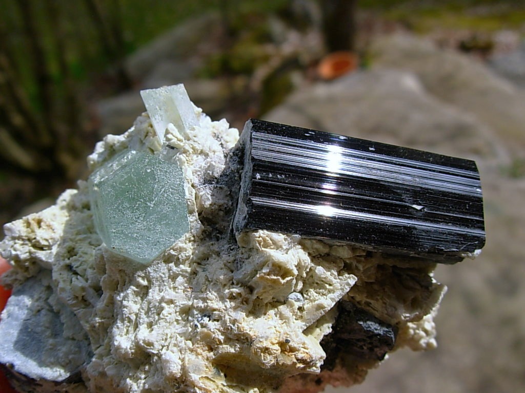 Beryl var Aquamarine and Schorl on matrix