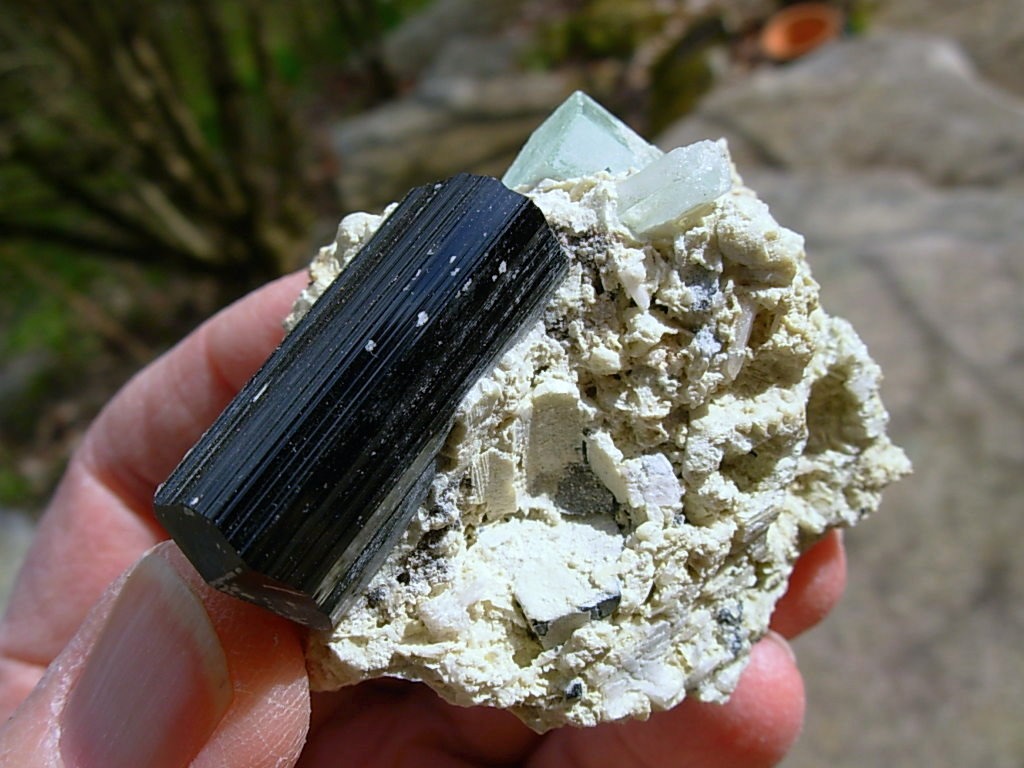 Beryl var Aquamarine and Schorl on matrix