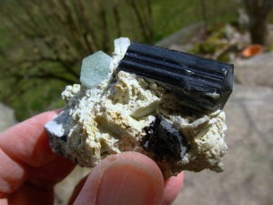 Beryl var Aquamarine and Schorl on matrix