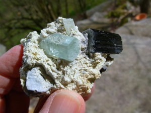 Beryl var Aquamarine and Schorl on matrix