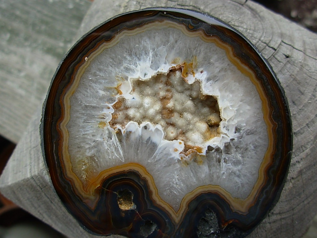 Black Skin Brazilian Agate Nodule polished half