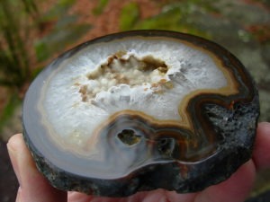 Black Skin Brazilian Agate Nodule polished half