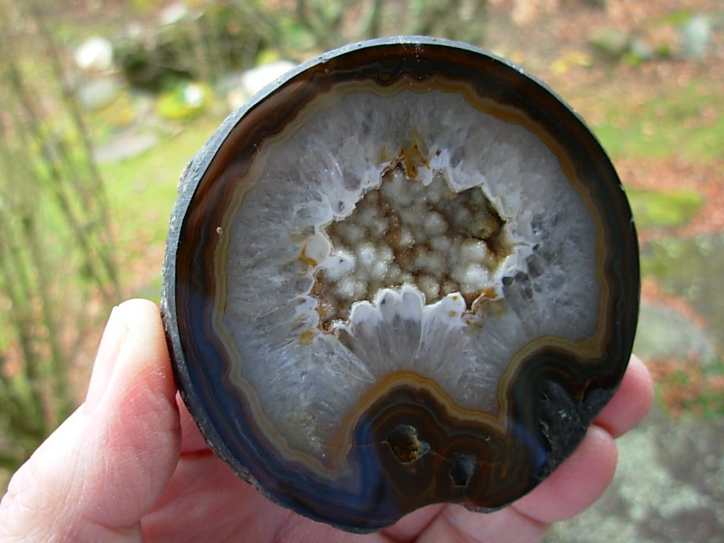 Black Skin Brazilian Agate Nodule polished half