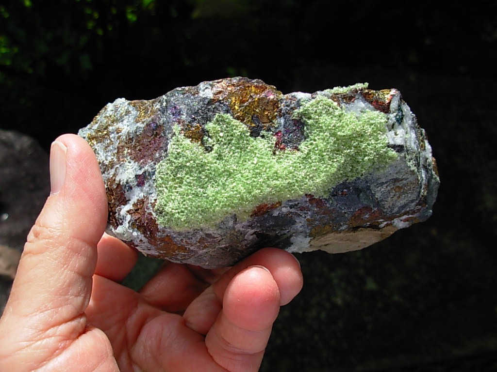 Iridescent Bornite from The Willard Elsing Collection (627g)