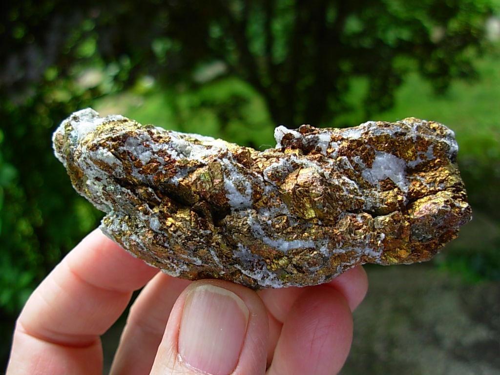 Bornite_Elsing_Bisbee_AZ__063