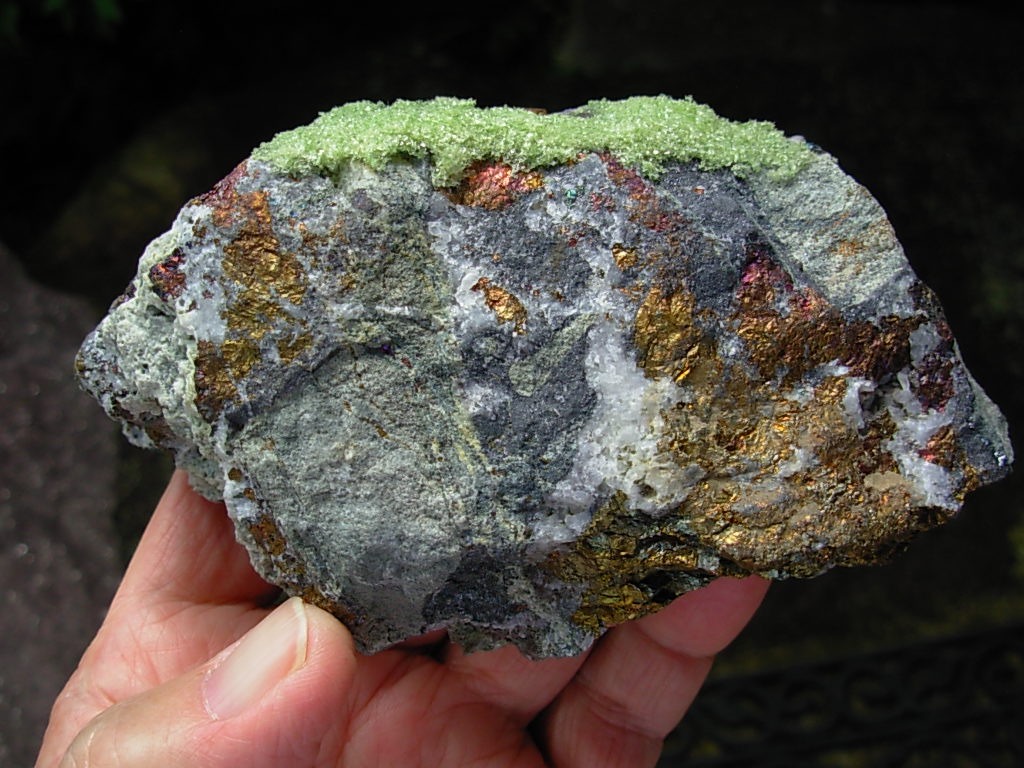 Iridescent Bornite from The Willard Elsing Collection (627g)