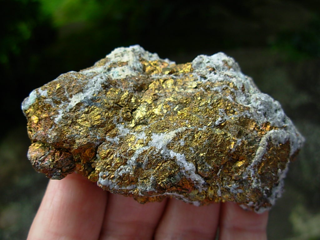 Iridescent Bornite from The Willard Elsing Collection (200g)