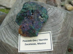 Iridescent Bornite (Peacock Ore) from Zacatecas Mexico