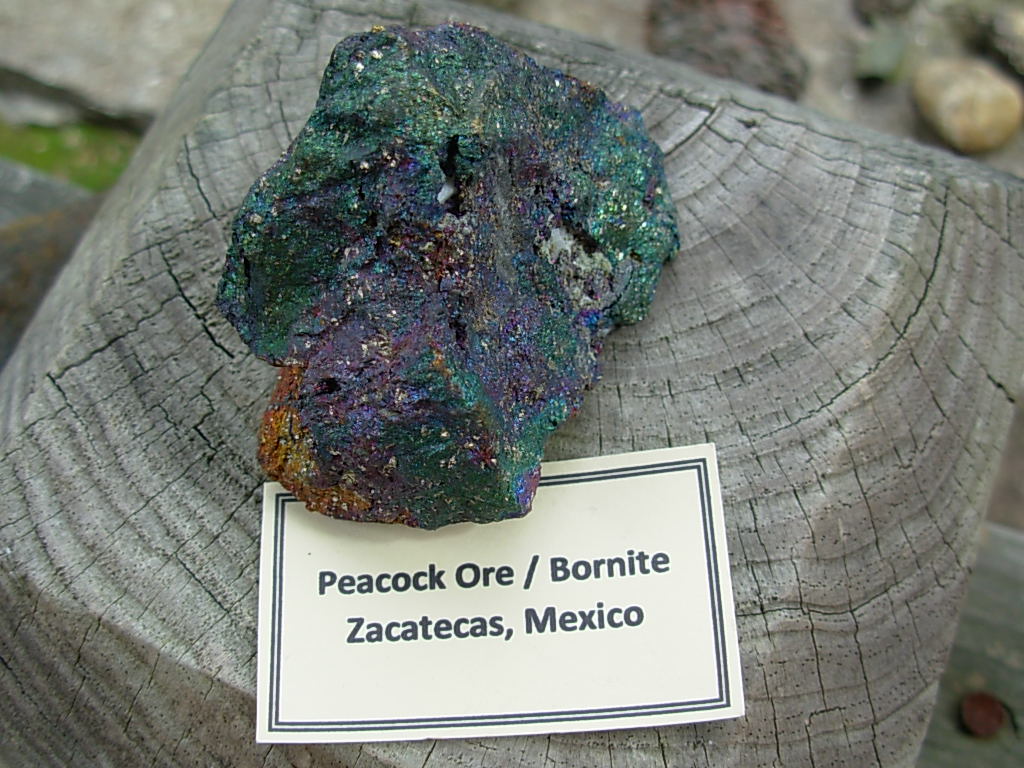 Iridescent Bornite (Peacock Ore) from Zacatecas Mexico