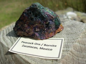 Iridescent Bornite (Peacock Ore) from Zacatecas Mexico