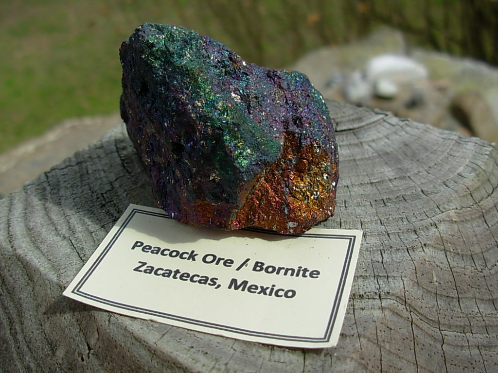 Iridescent Bornite (Peacock Ore) from Zacatecas Mexico