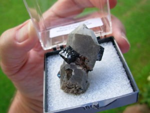 Brookite Crystals on Quartz from Magnet Cove