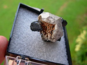 Brookite Crystals on Quartz from Magnet Cove