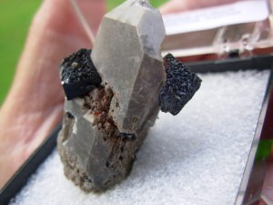 Brookite Crystals on Quartz from Magnet Cove