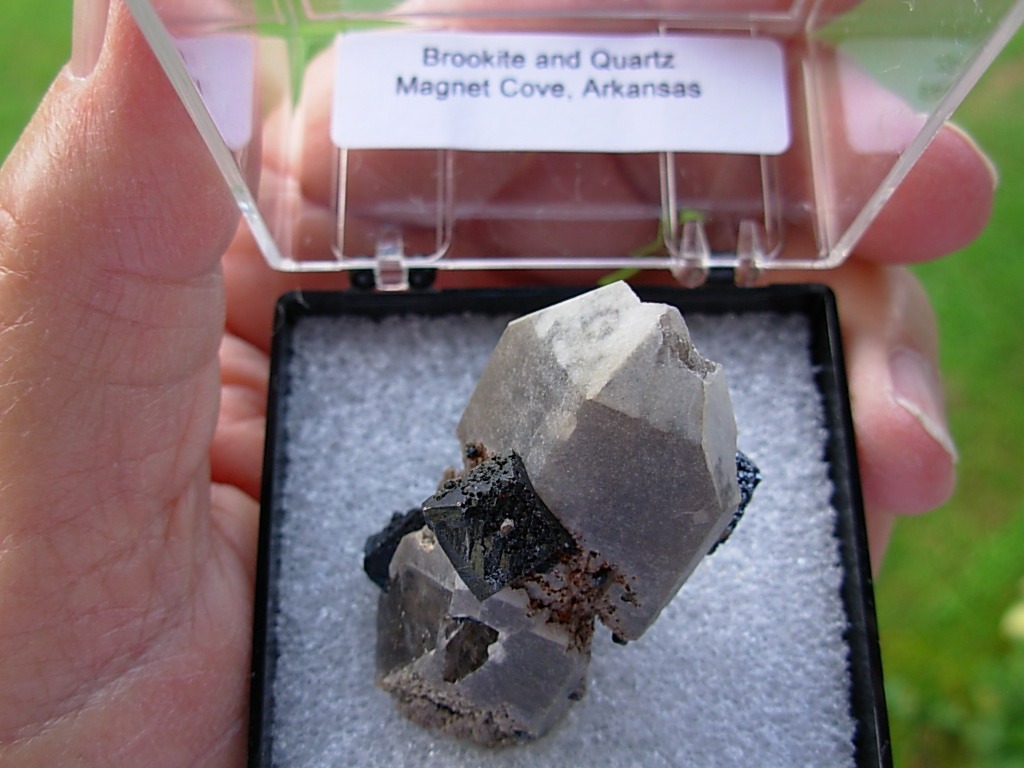 Brookite Crystals on Quartz from Magnet Cove