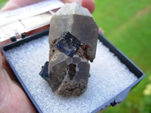 Brookite Crystals on Quartz from Magnet Cove