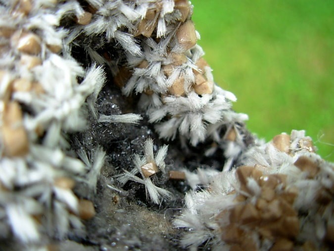 Bultfonteinite and Poldervaartite