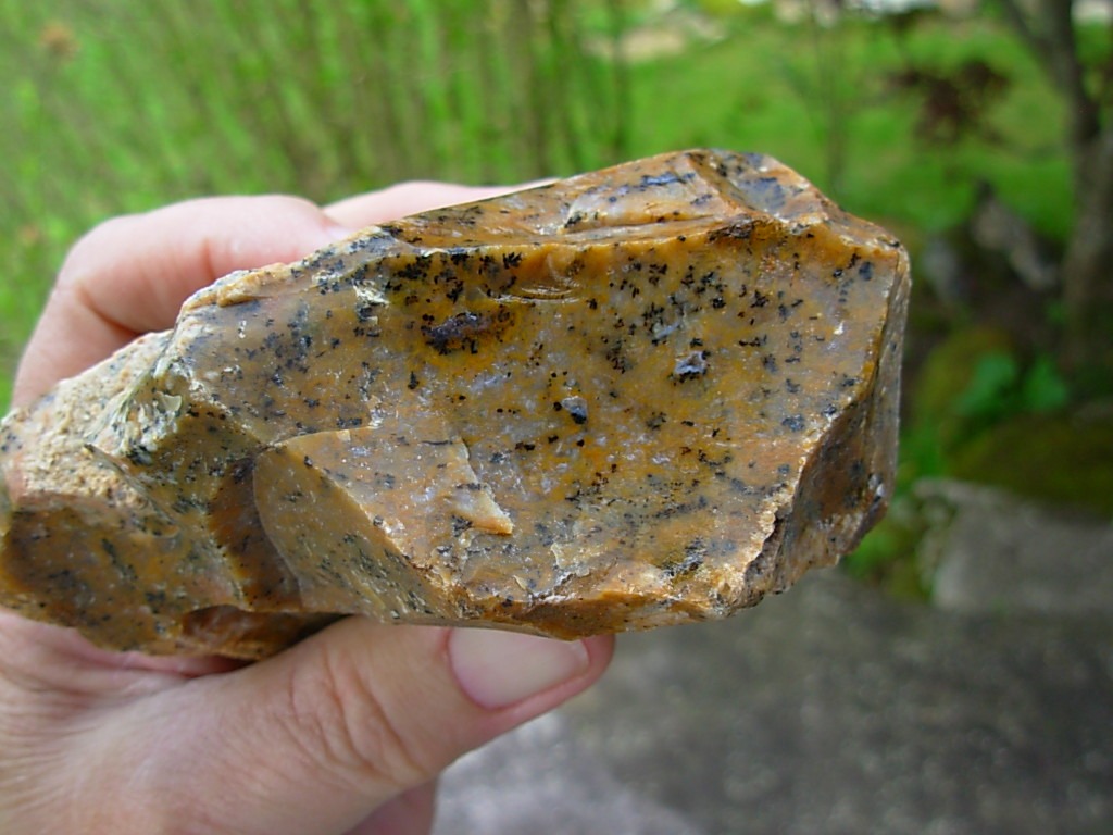 Cheetah Agate Rough from Brazil