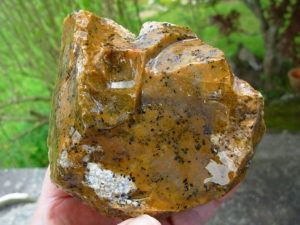 Cheetah Agate Rough from Brazil