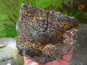 Cheetah Agate Rough from Brazil