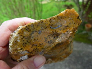 Cheetah Agate Rough from Brazil