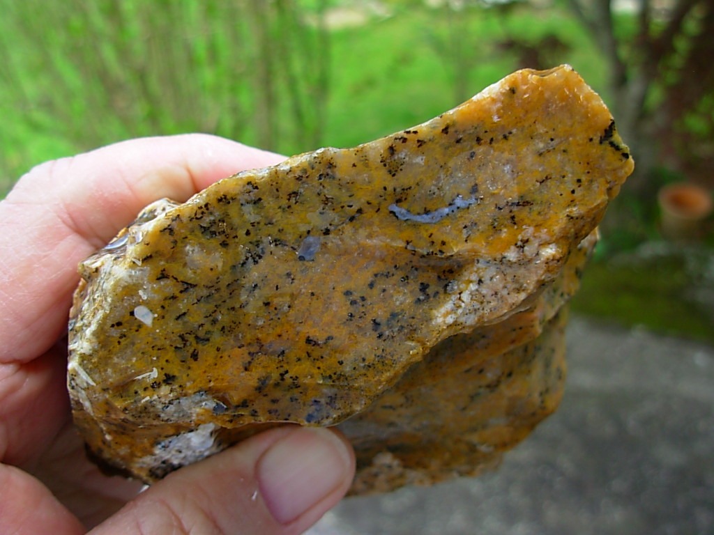 Cheetah Agate Rough from Brazil
