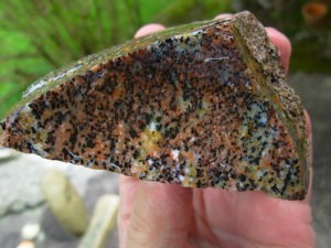 Cheetah Agate Rough from Brazil