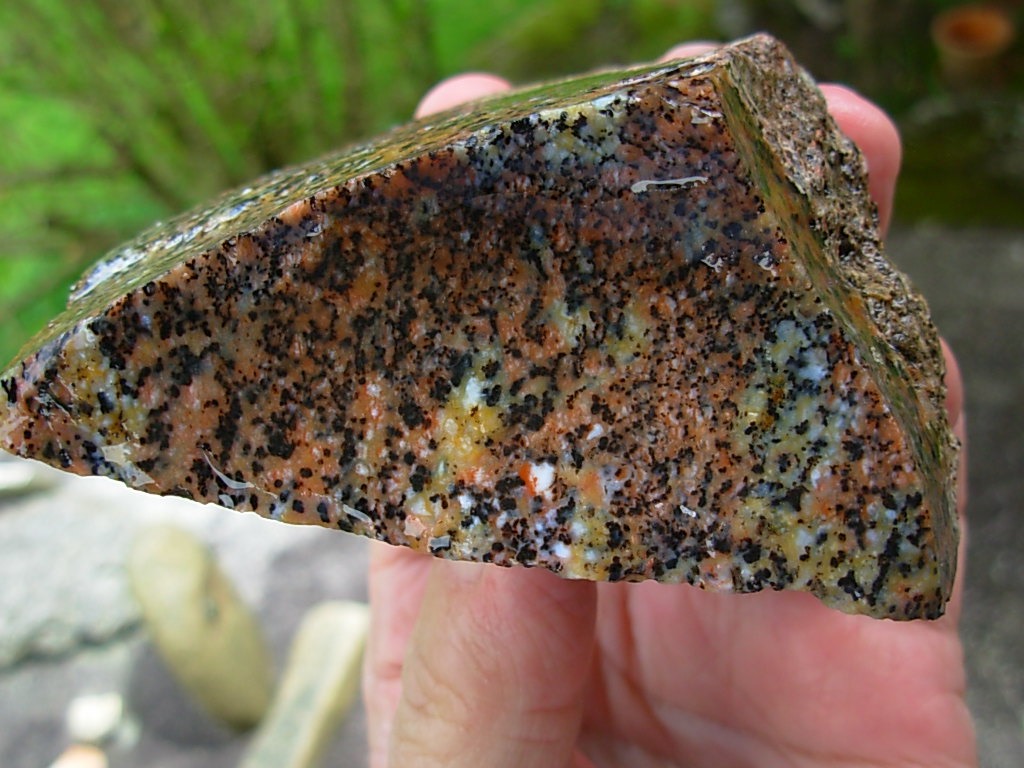 Cheetah Agate Rough from Brazil
