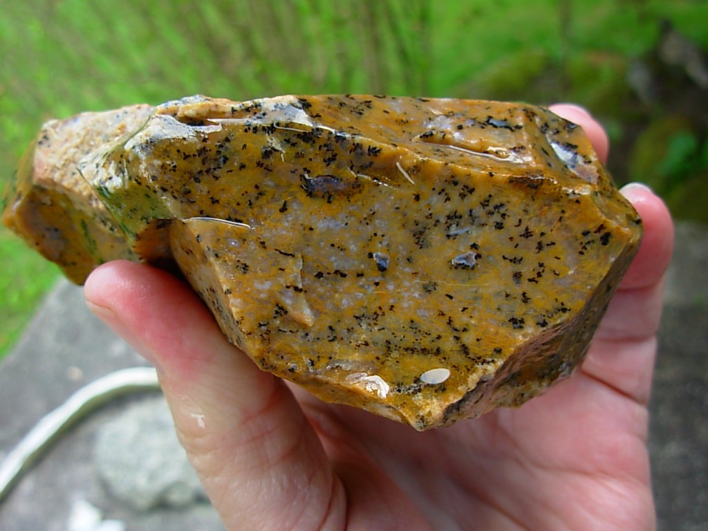 Cheetah Agate Rough from Brazil