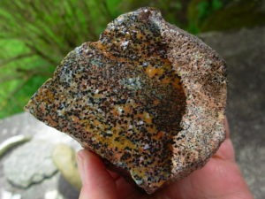 Cheetah Agate Rough from Brazil