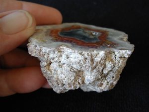 137g Samyta Agate from Argentina